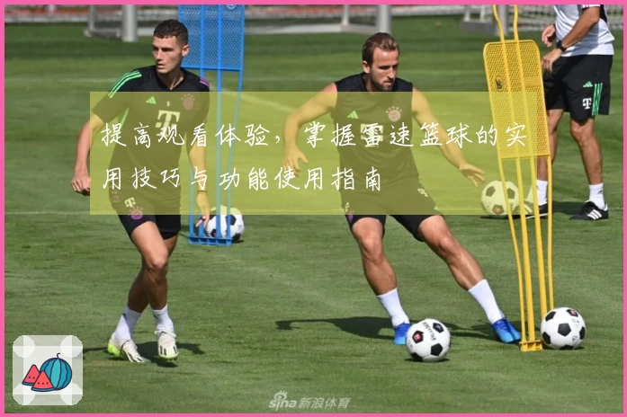 提高观看体验，掌握雷速篮球的实用技巧与功能使用指南